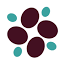 Sonoma BioTherapeutics